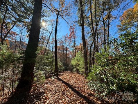 Site 5 Woodfen Lane Lake Lure NC 28746