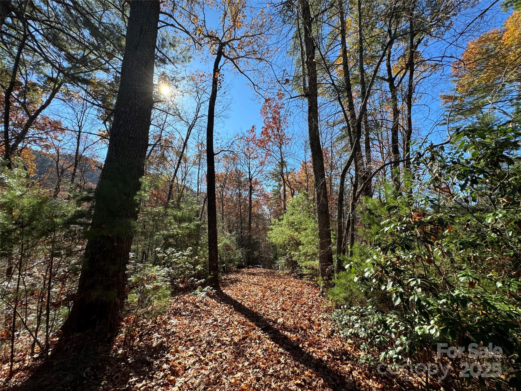Site 5 Woodfen Lane Lake Lure NC 28746