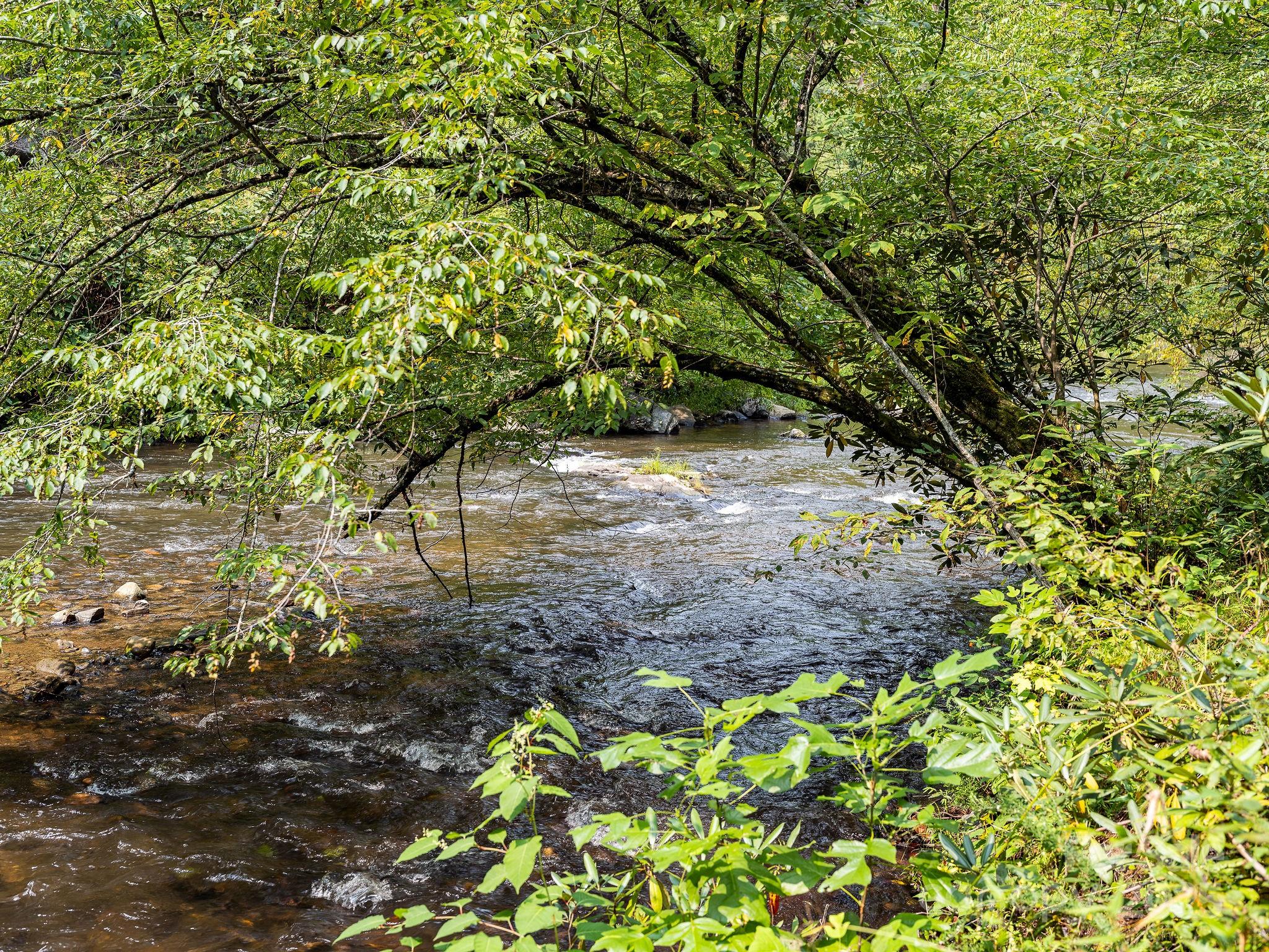 28 Caddis Court Marshall NC 28753