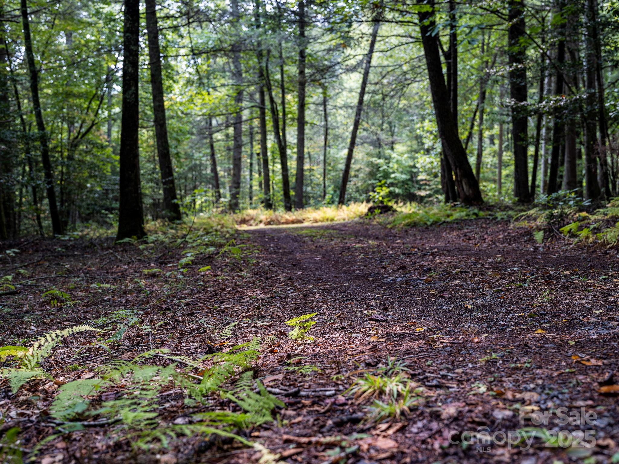 28 Caddis Court Marshall NC 28753