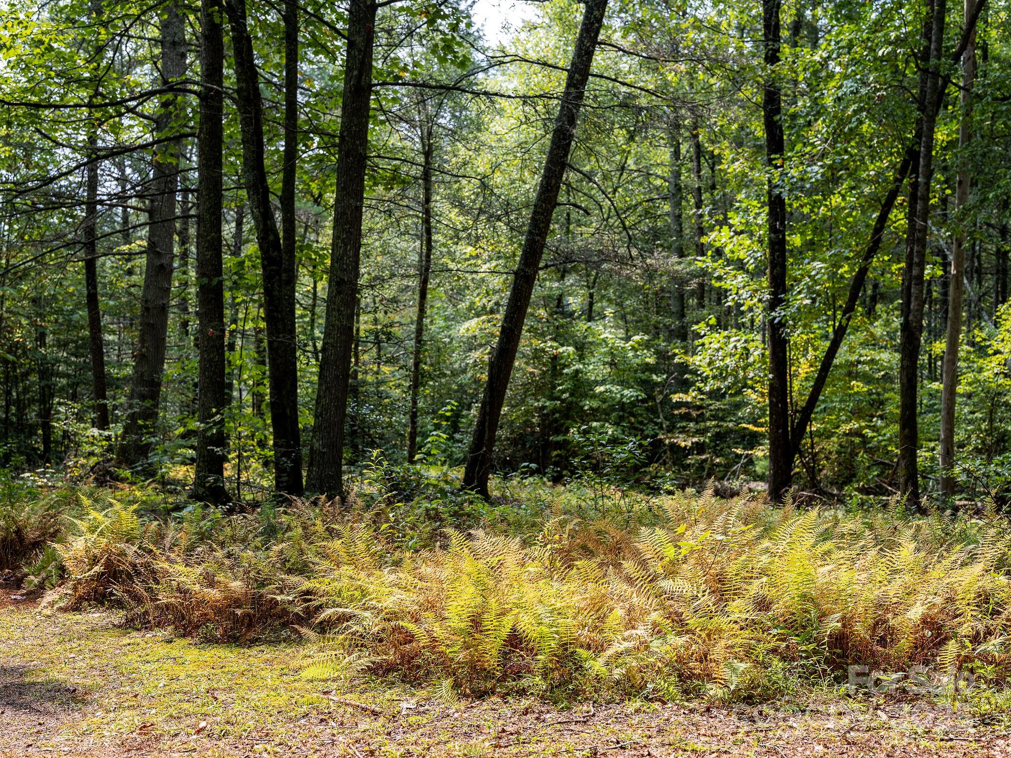 28 Caddis Court Marshall NC 28753