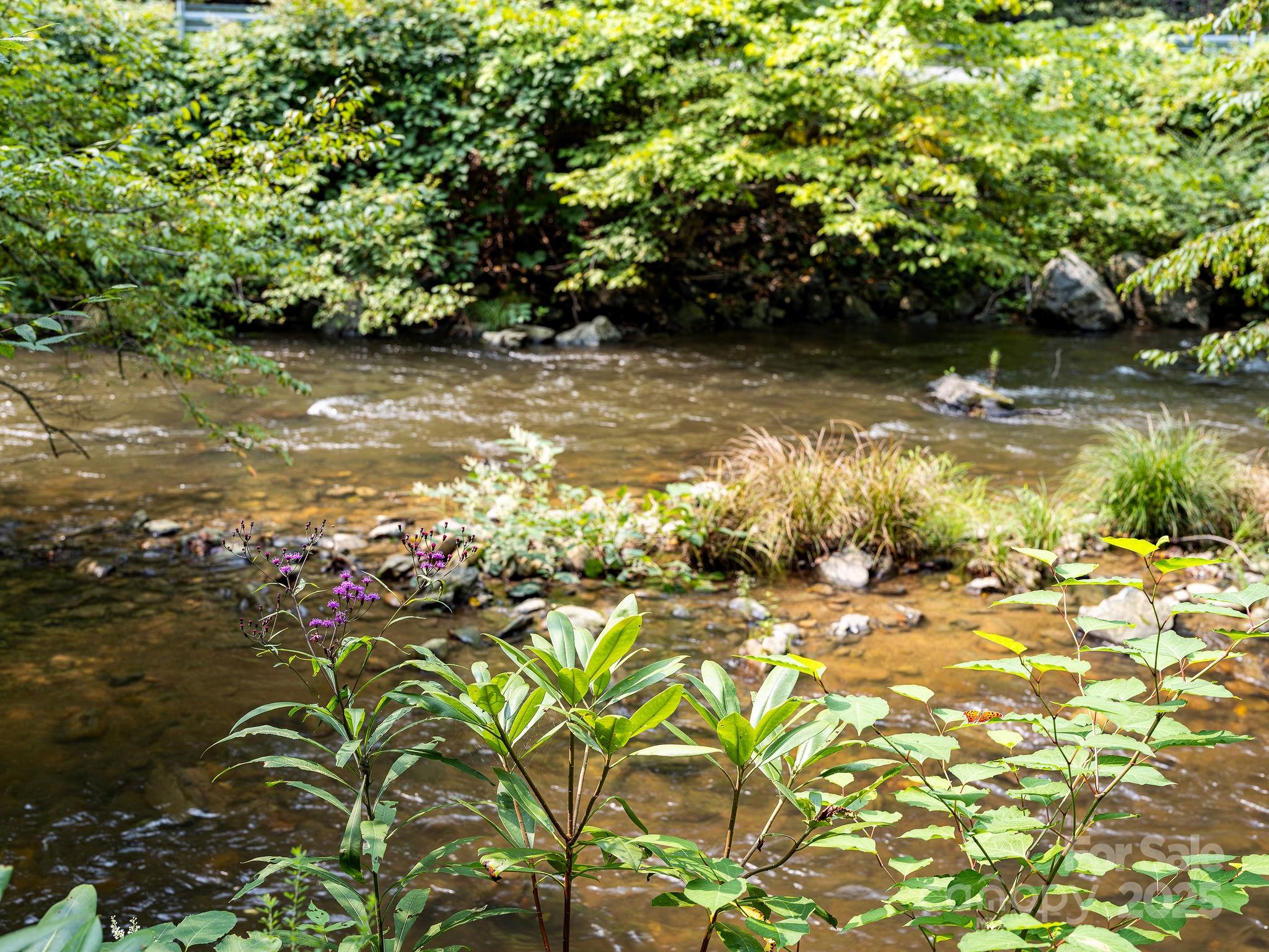 28 Caddis Court Marshall NC 28753