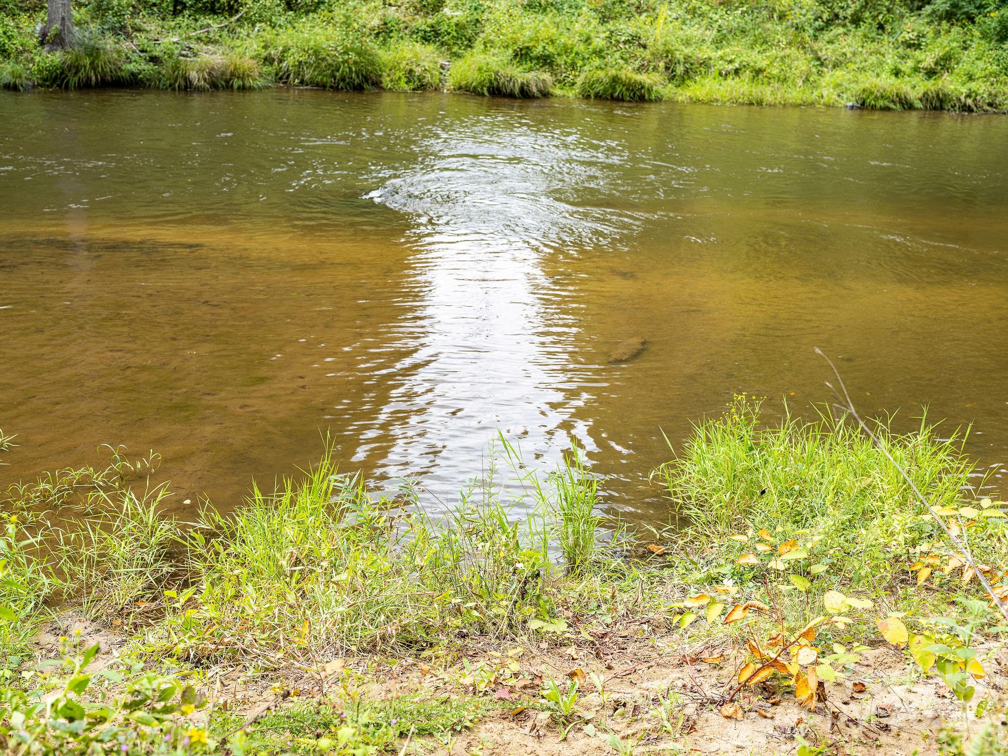 28 Caddis Court Marshall NC 28753