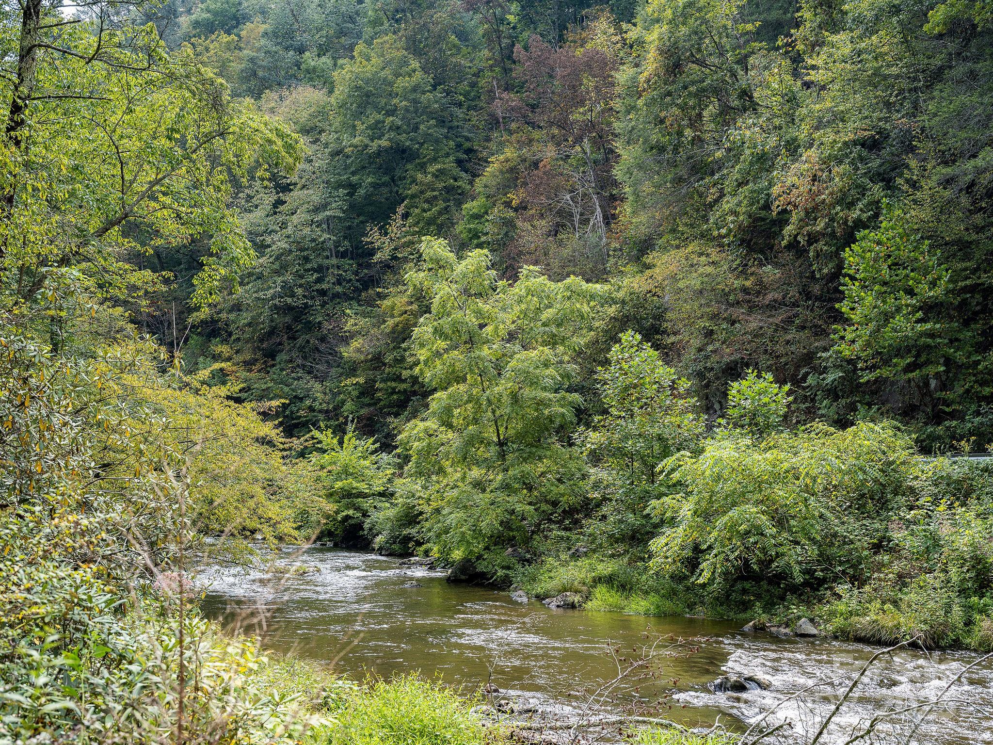 28 Caddis Court Marshall NC 28753