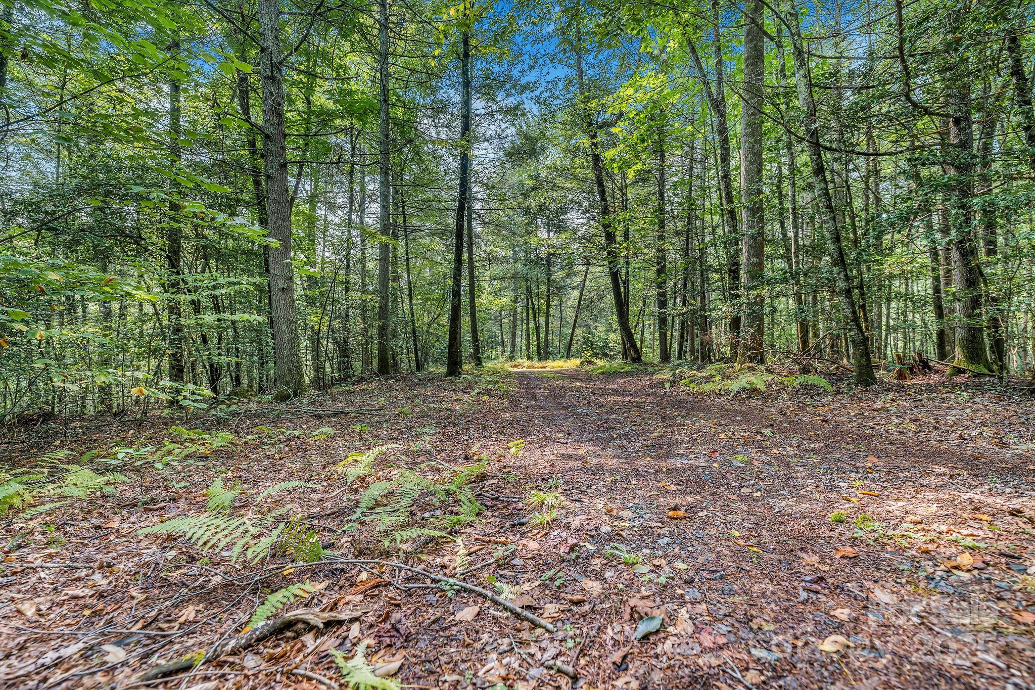 28 Caddis Court Marshall NC 28753