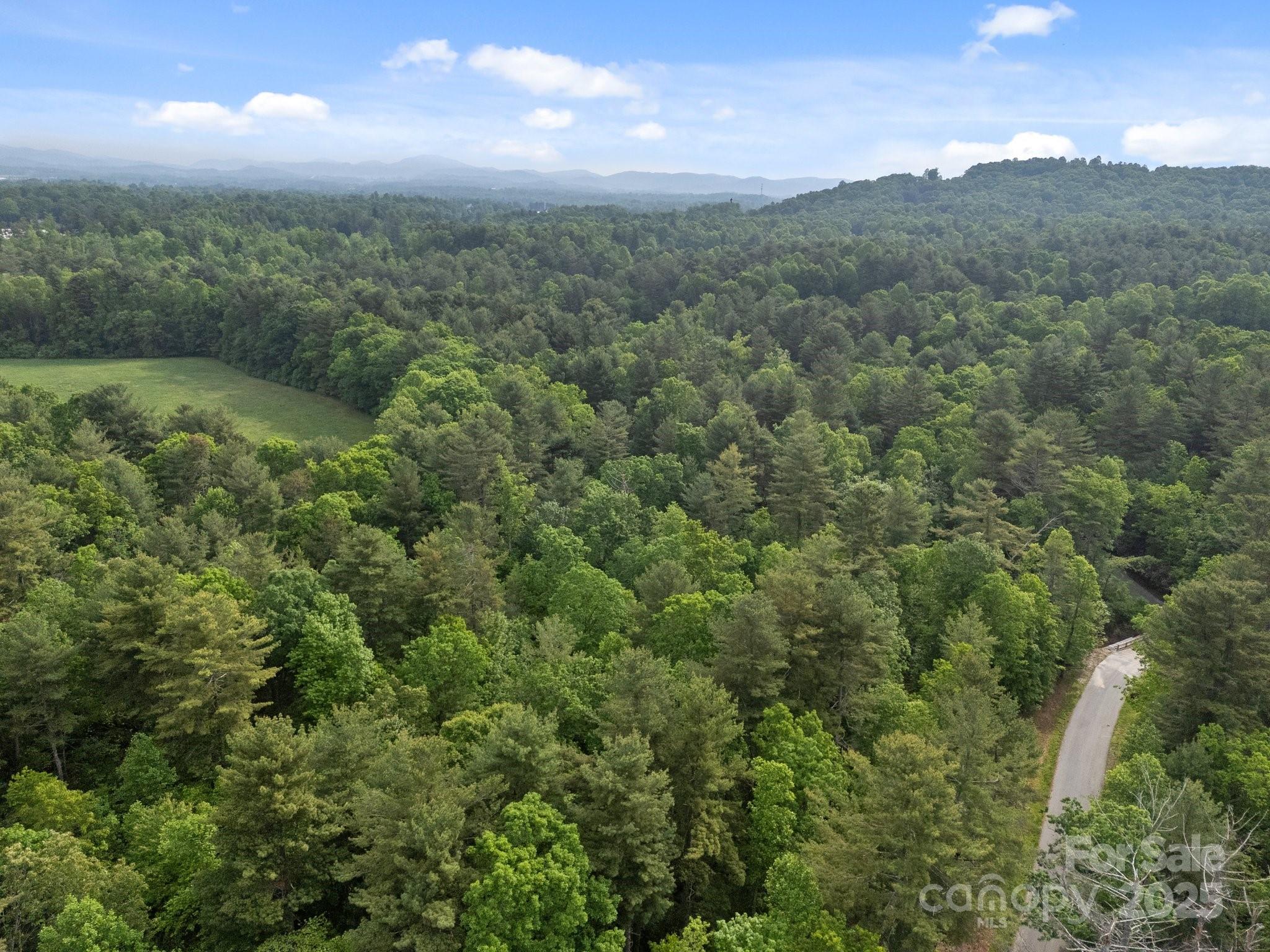 000 Red Fox Lane Flat Rock NC 28731