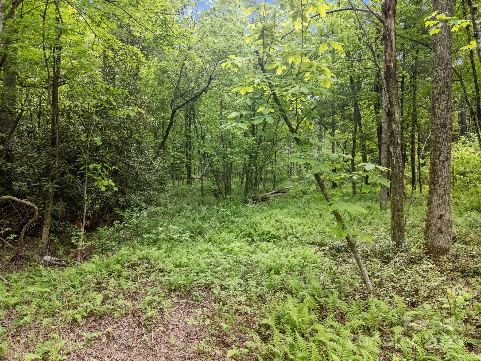 000 Red Fox Lane Flat Rock NC 28731