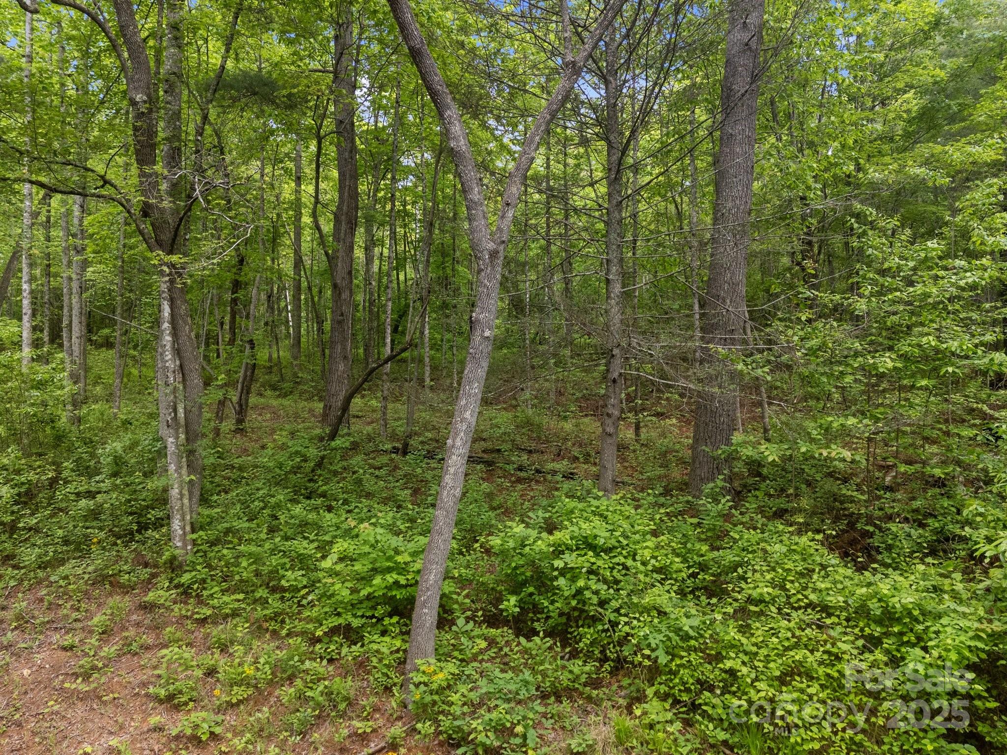 000 Red Fox Lane Flat Rock NC 28731