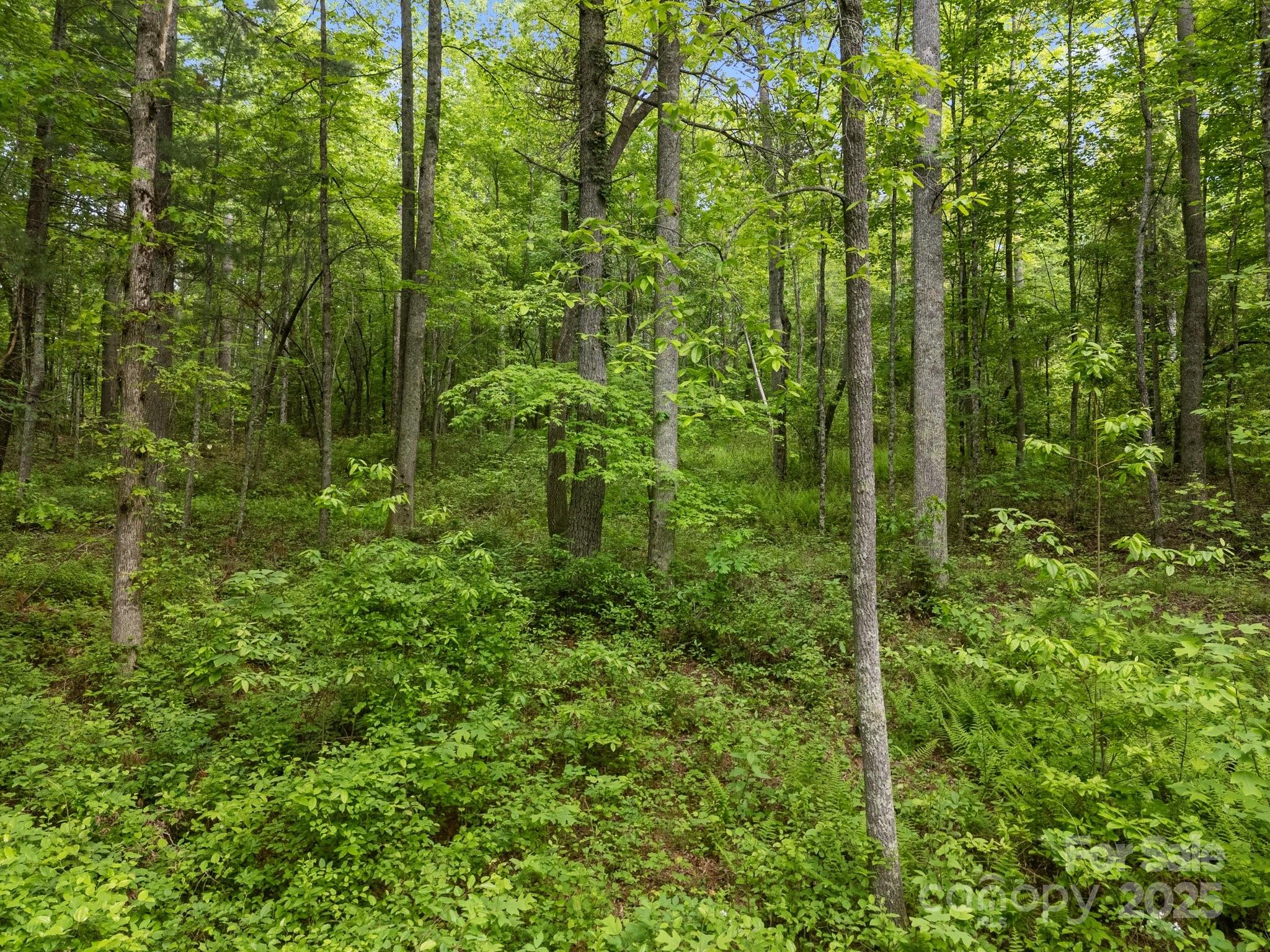 000 Red Fox Lane Flat Rock NC 28731