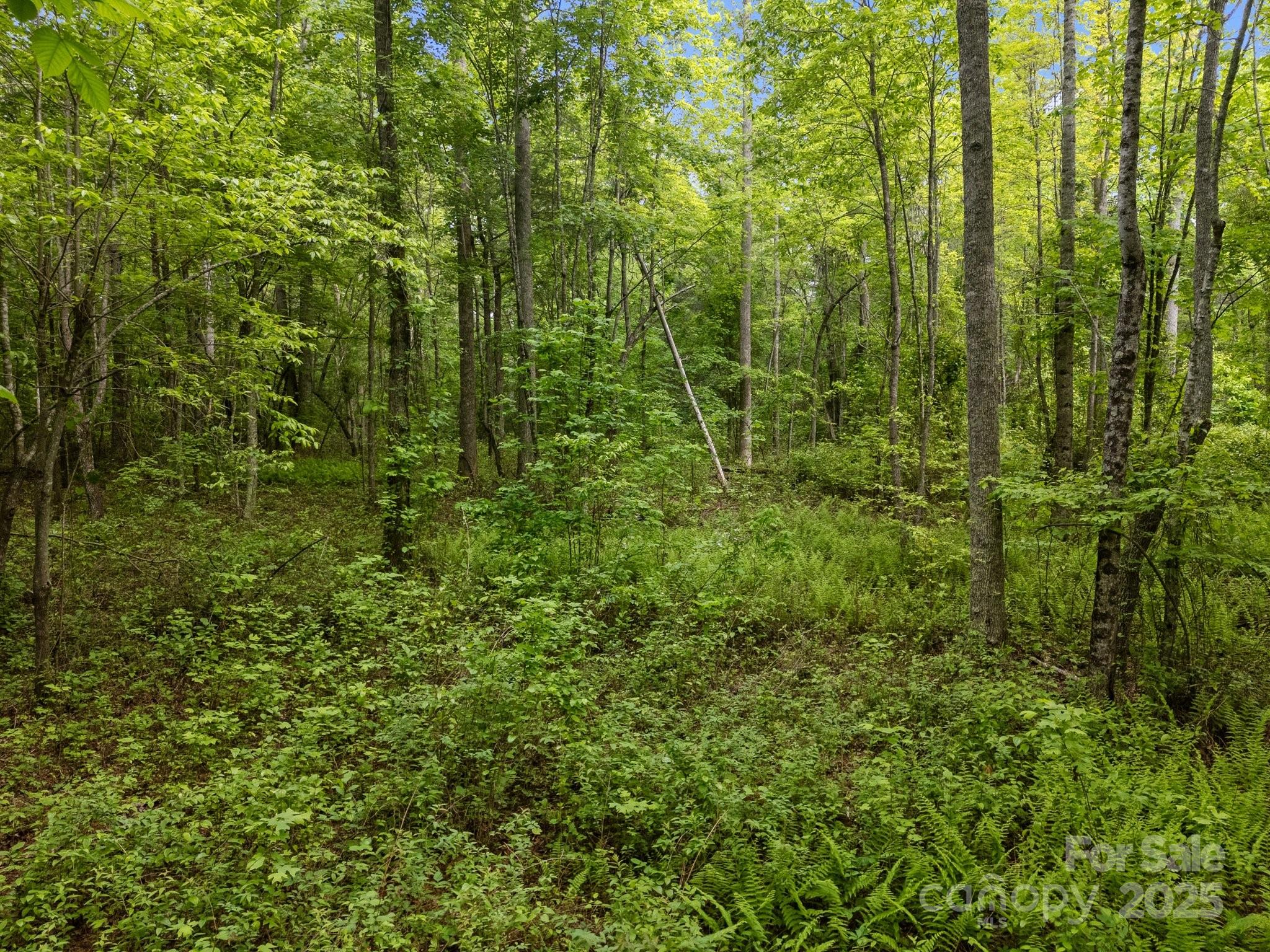 000 Red Fox Lane Flat Rock NC 28731