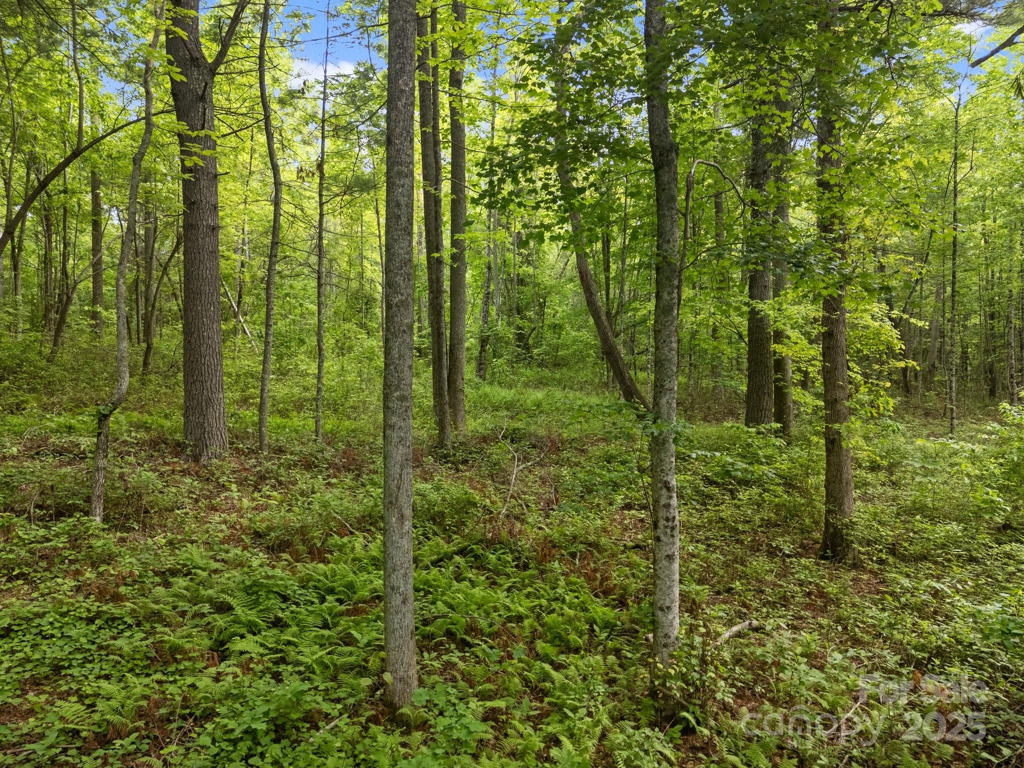 000 Red Fox Lane Flat Rock NC 28731