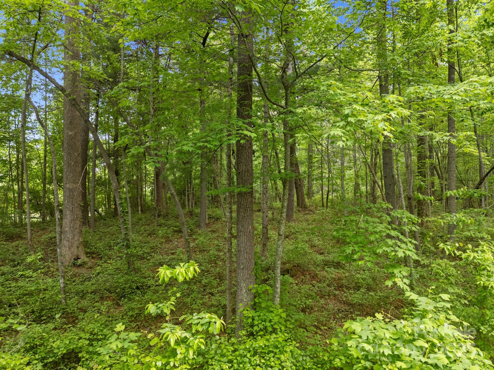 000 Red Fox Lane Flat Rock NC 28731