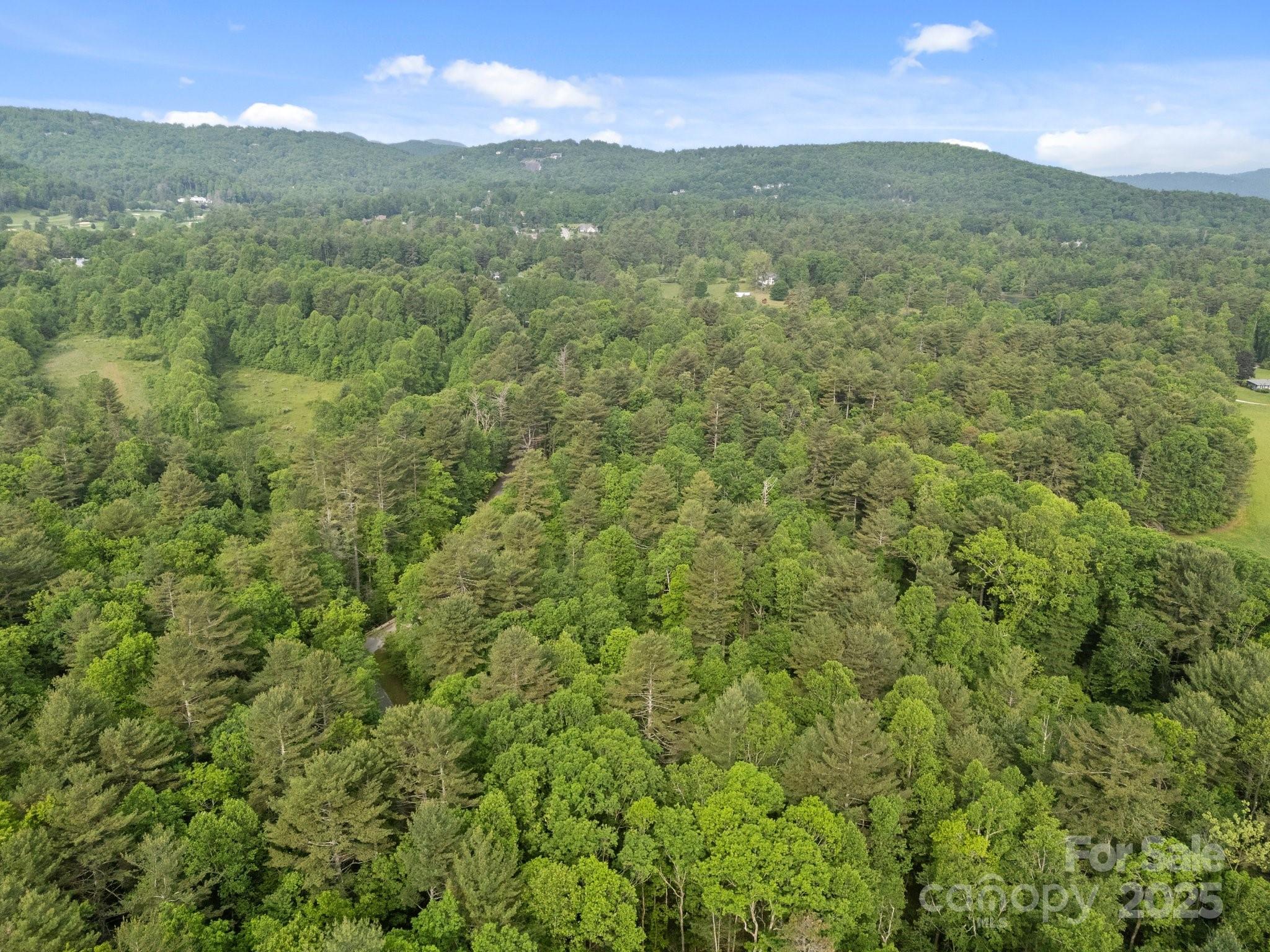 000 Red Fox Lane Flat Rock NC 28731