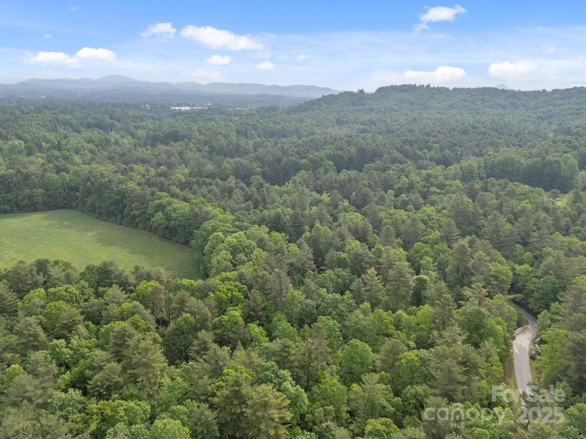 000 Red Fox Lane Flat Rock NC 28731