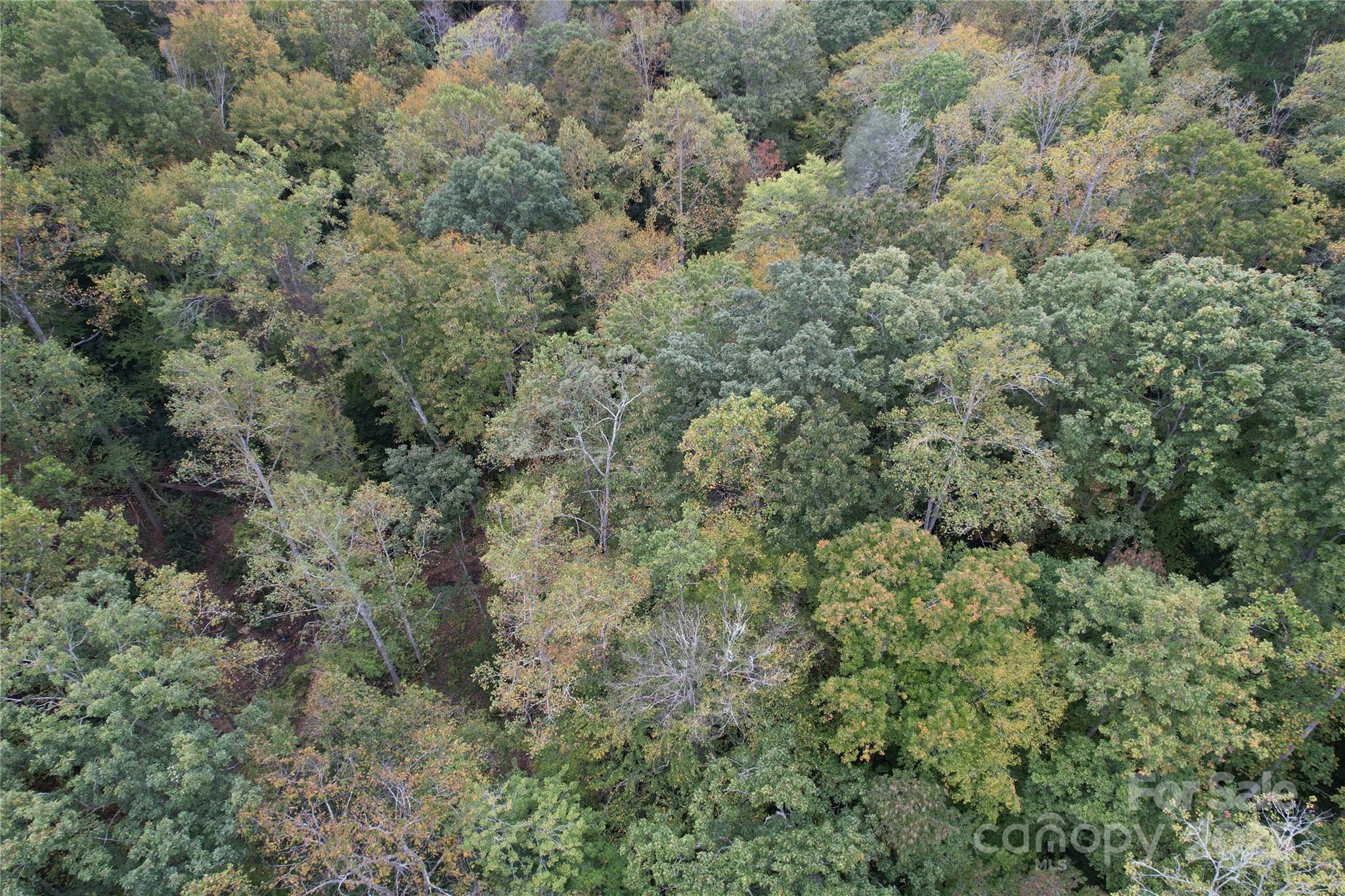 0 Mount Hebron Road Old Fort NC 28711