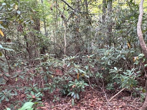 0 Mount Hebron Road Old Fort NC 28711