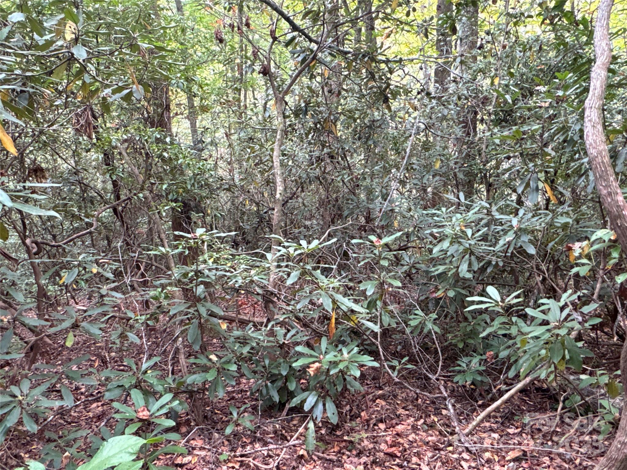 0 Mount Hebron Road Old Fort NC 28711