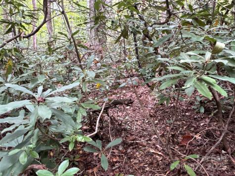 0 Mount Hebron Road Old Fort NC 28711