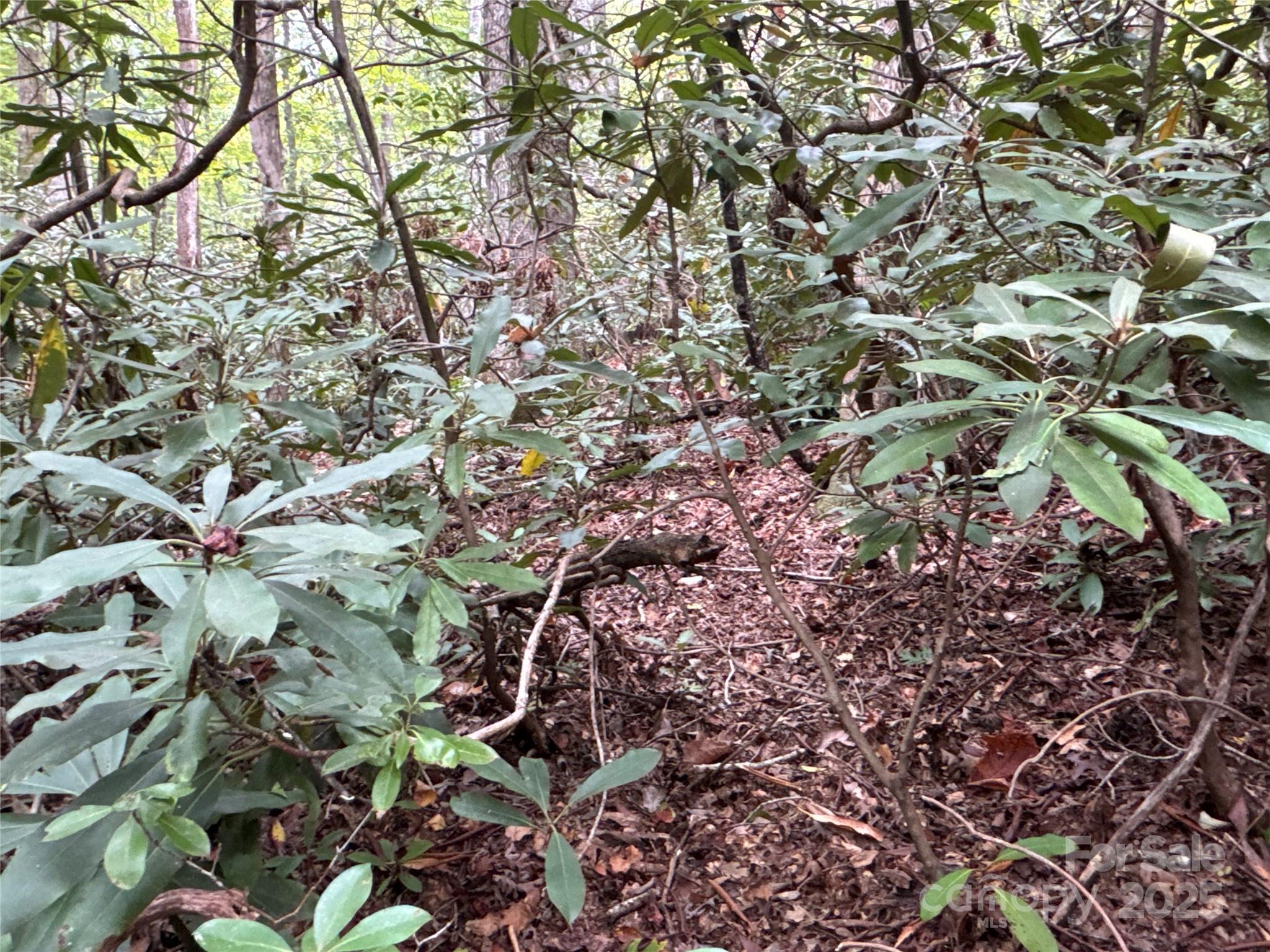 0 Mount Hebron Road Old Fort NC 28711