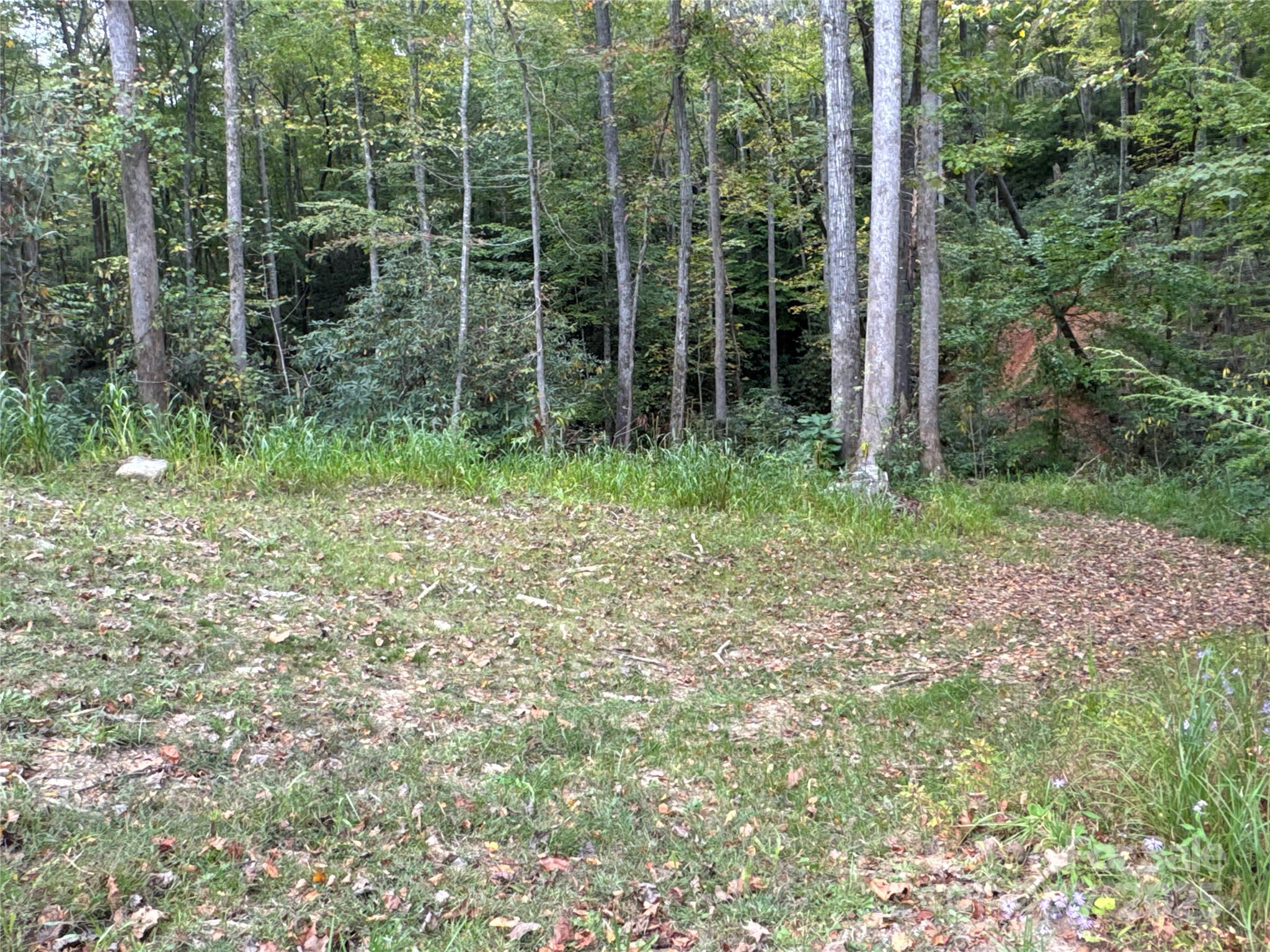 0 Mount Hebron Road Old Fort NC 28711