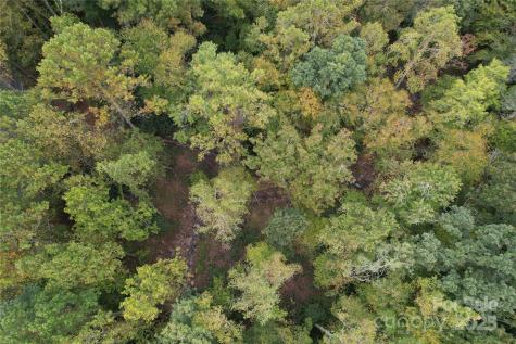 0 Mount Hebron Road Old Fort NC 28711