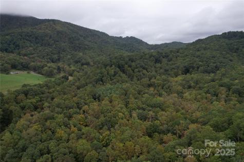 0 Mount Hebron Road Old Fort NC 28711