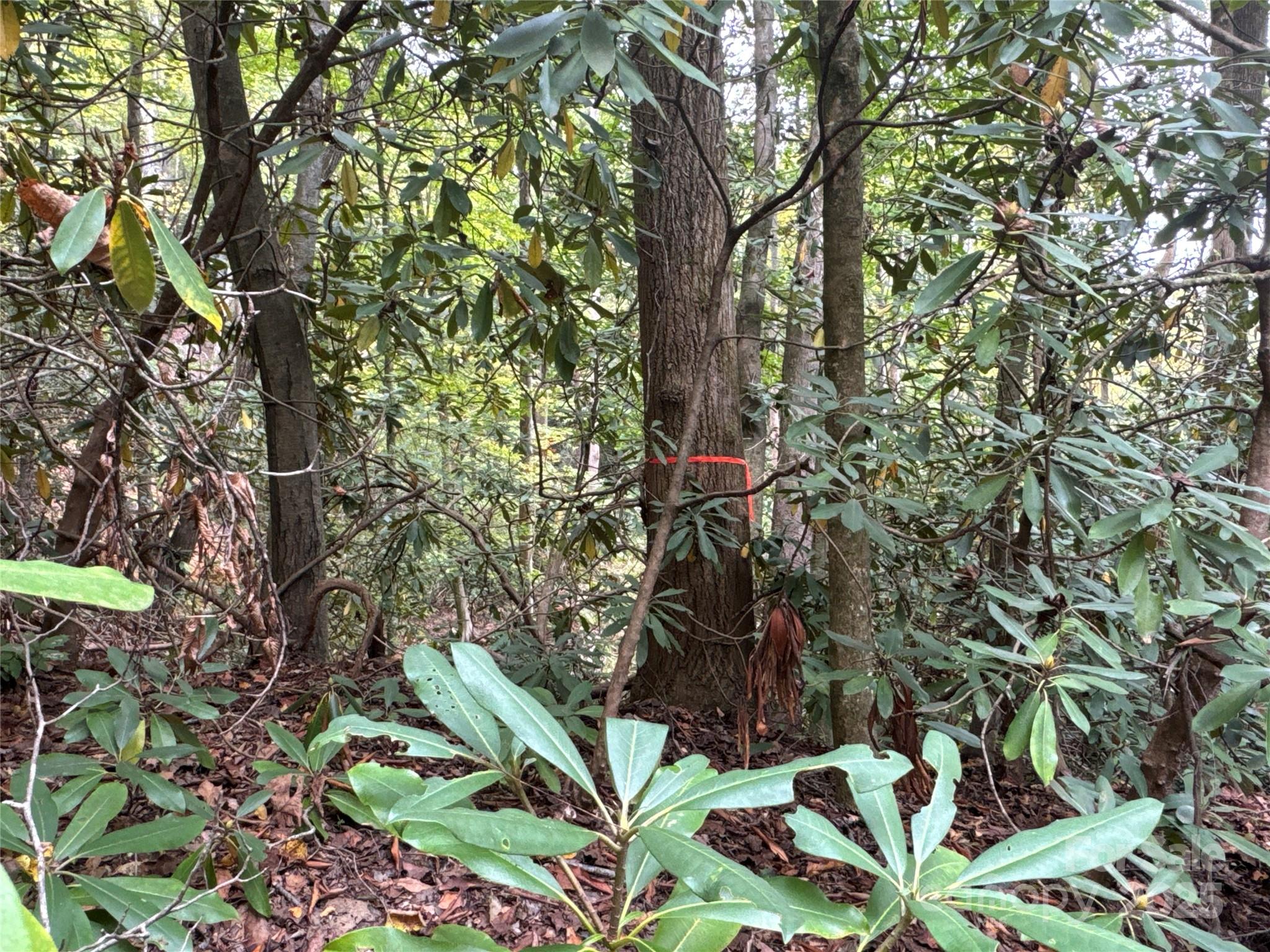 0 Mount Hebron Road Old Fort NC 28711