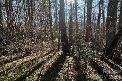 0 Clarence Towery Circle Hildebran NC 28637