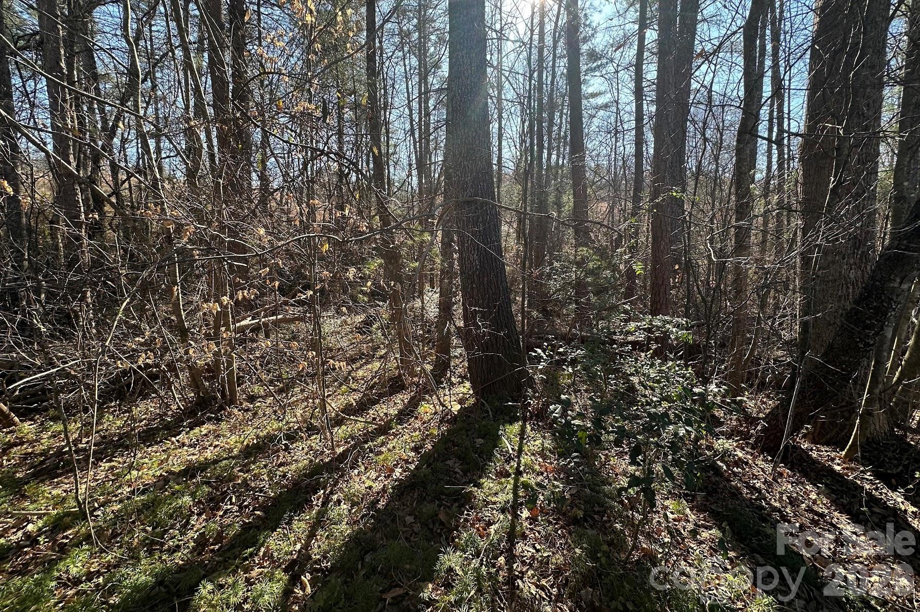 0 Clarence Towery Circle Hildebran NC 28637