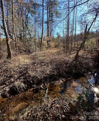0 Clarence Towery Circle Hildebran NC 28637