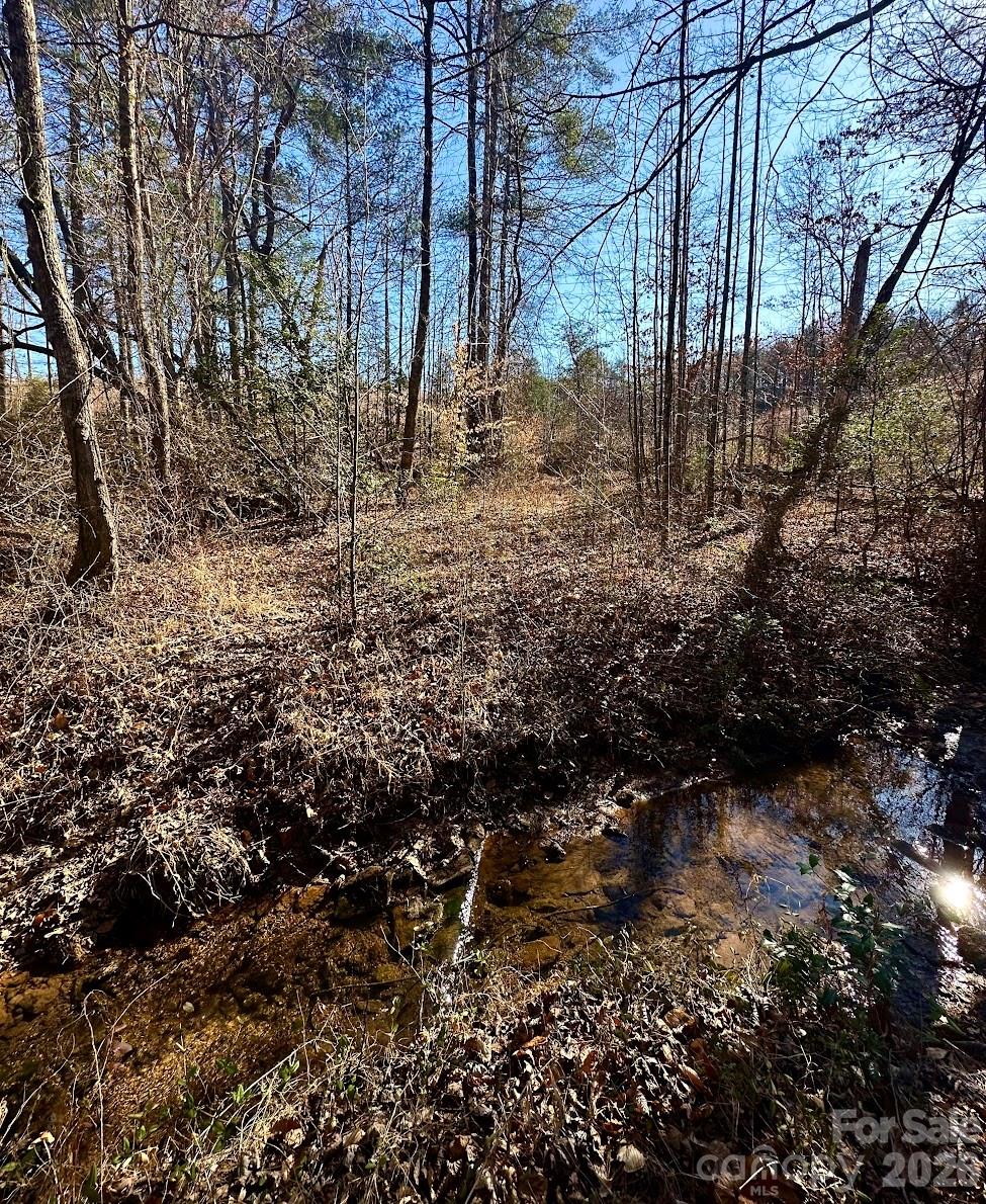 0 Clarence Towery Circle Hildebran NC 28637