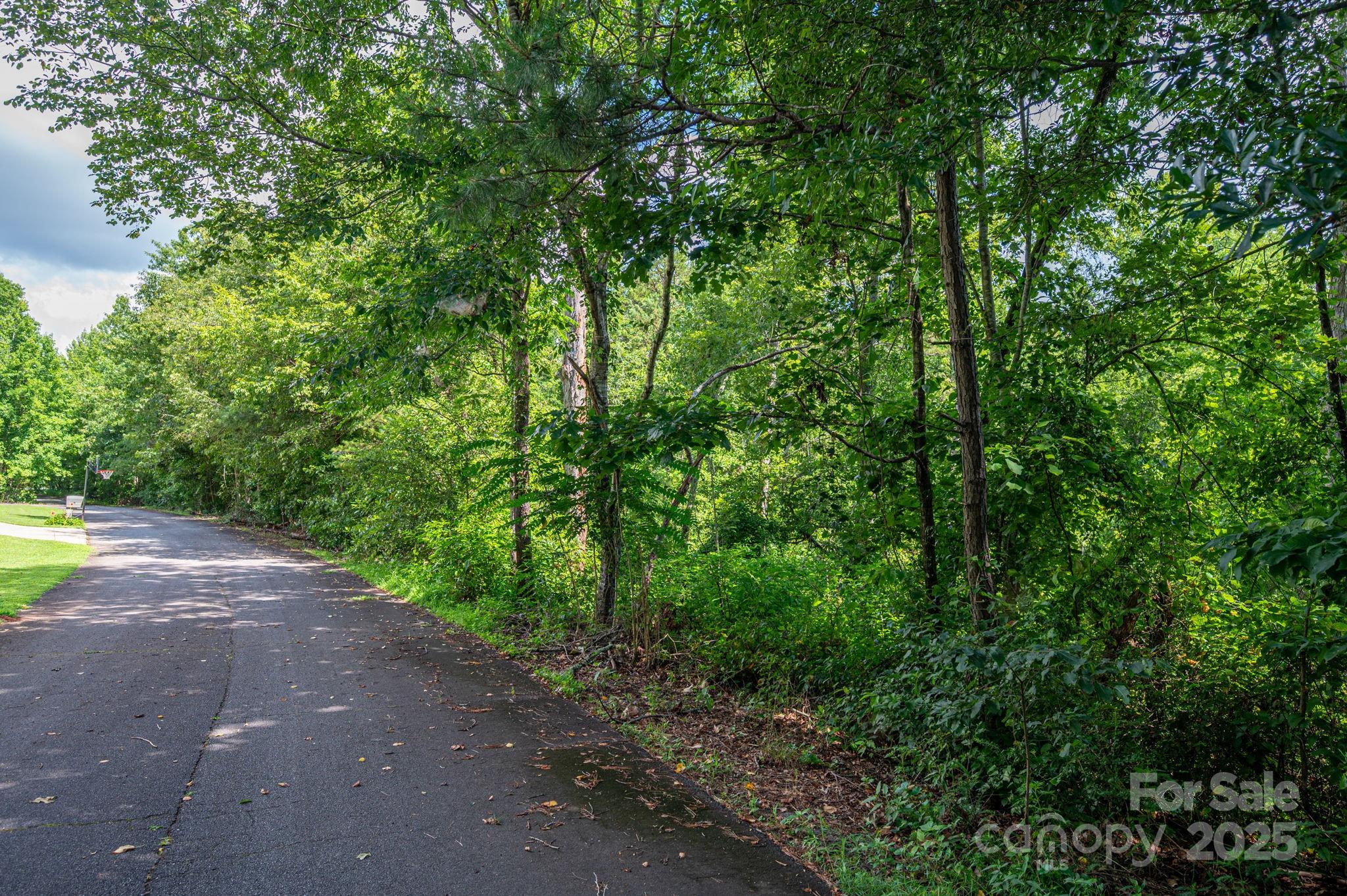 Lot 33 Line Drive Forest City NC 28043