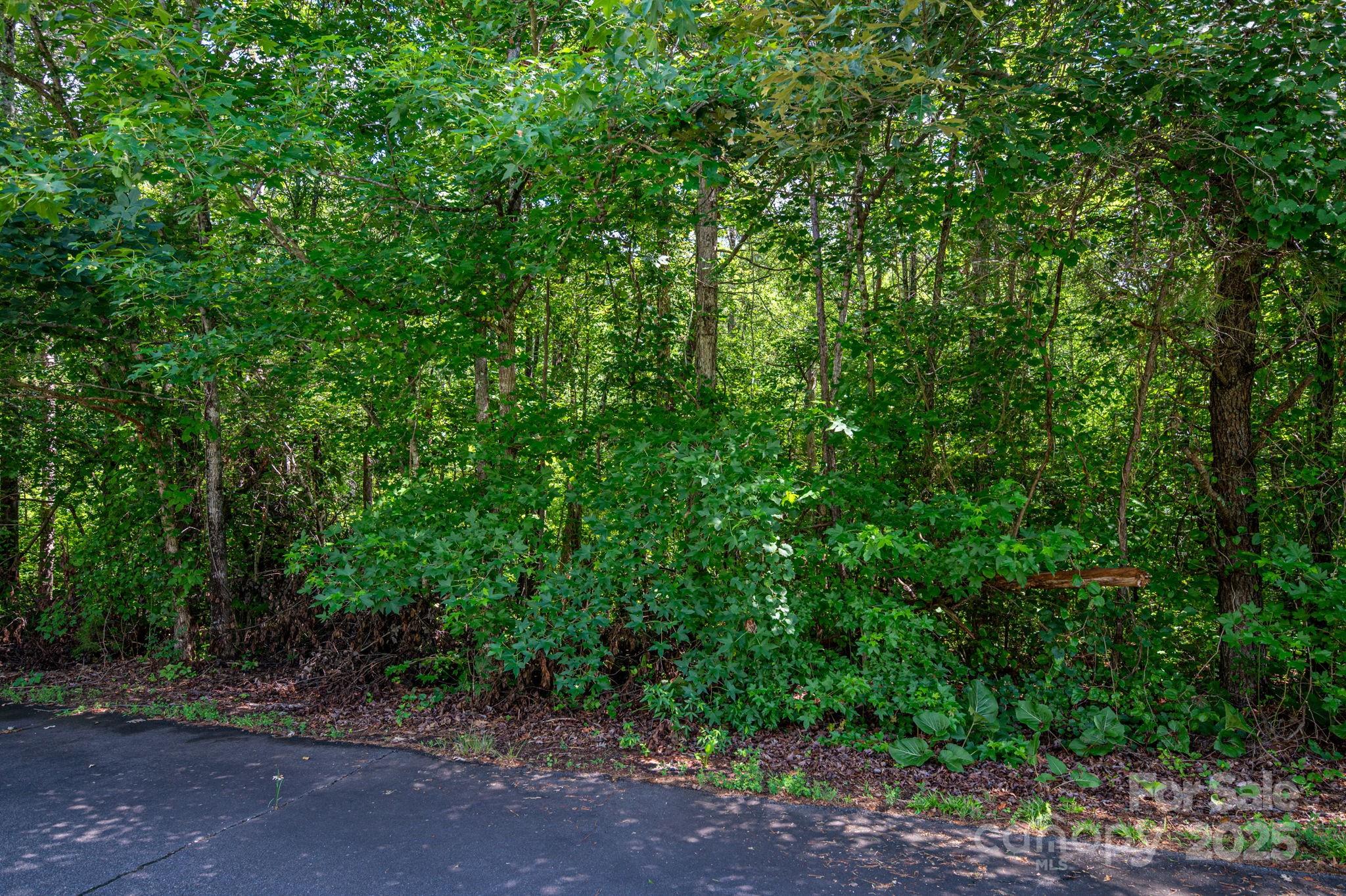 Lot 33 Line Drive Forest City NC 28043