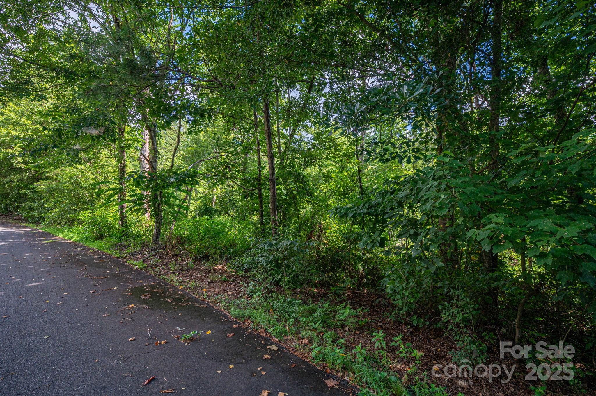 Lot 33 Line Drive Forest City NC 28043