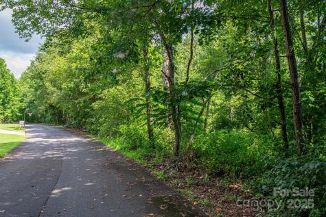 Lot 33 Line Drive Forest City NC 28043