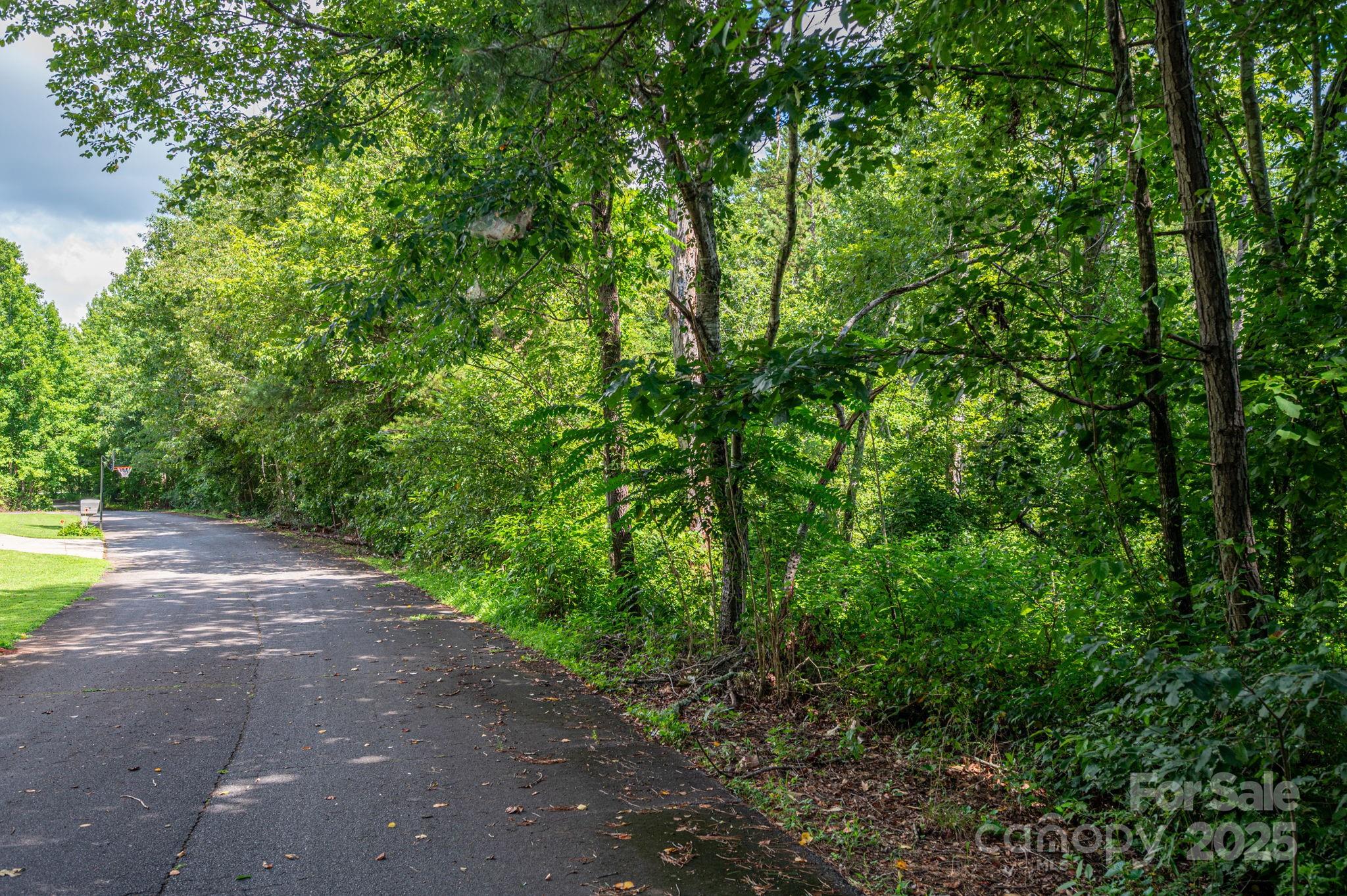 Lot 33 Line Drive Forest City NC 28043