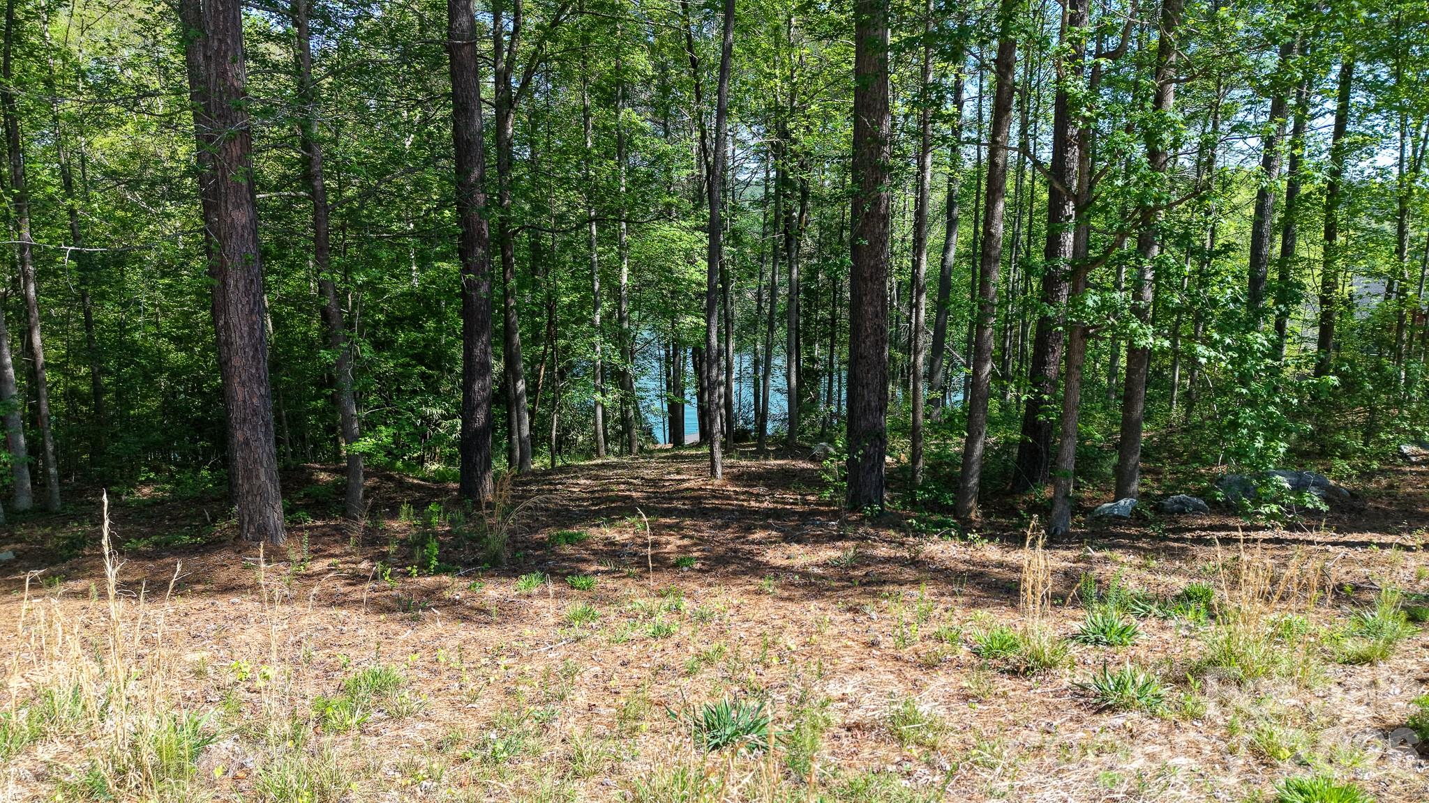 105 Beacon Ridge Drive Connelly Springs NC 28612