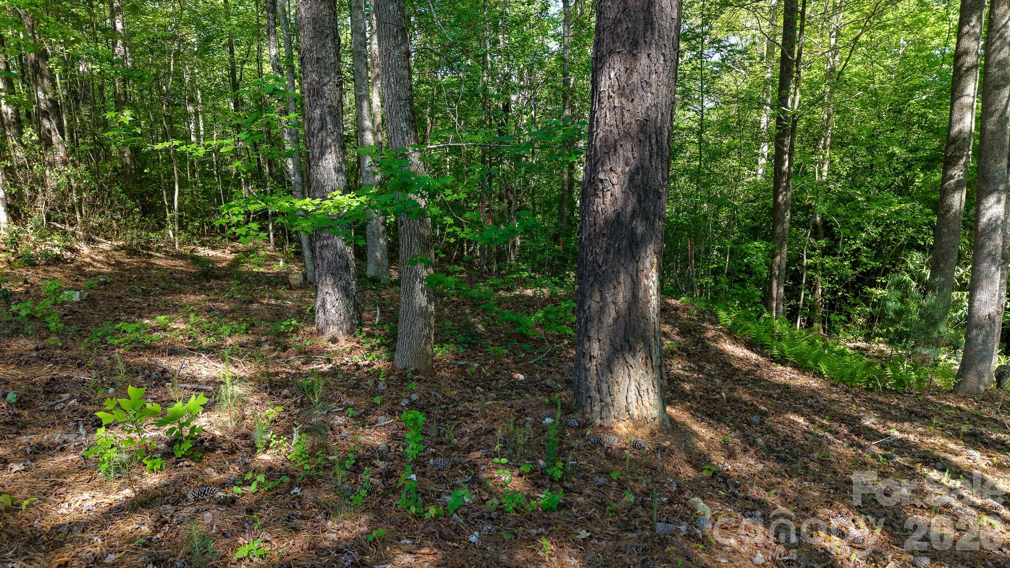105 Beacon Ridge Drive Connelly Springs NC 28612
