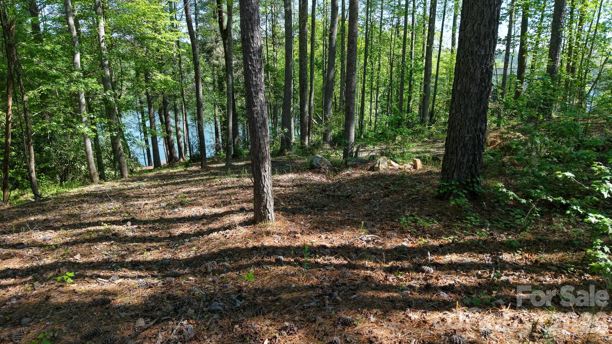 105 Beacon Ridge Drive Connelly Springs NC 28612