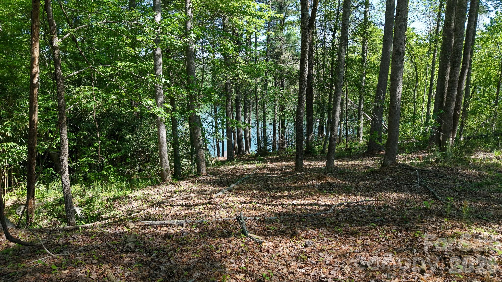 105 Beacon Ridge Drive Connelly Springs NC 28612