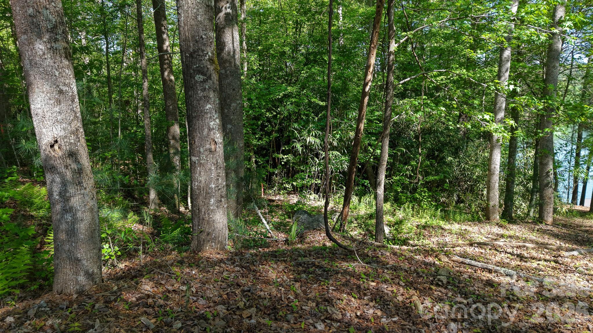 105 Beacon Ridge Drive Connelly Springs NC 28612