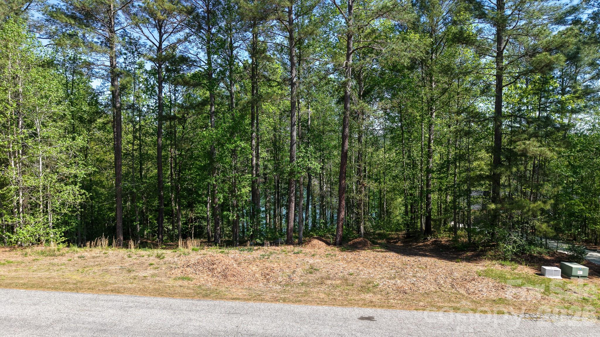 105 Beacon Ridge Drive Connelly Springs NC 28612