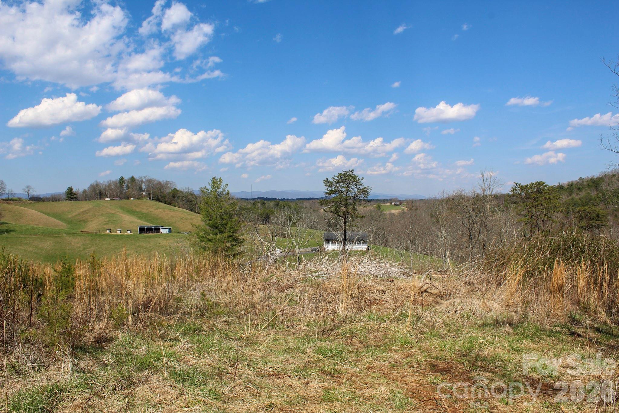99999 Fletcher Martin Road Alexander NC 28701