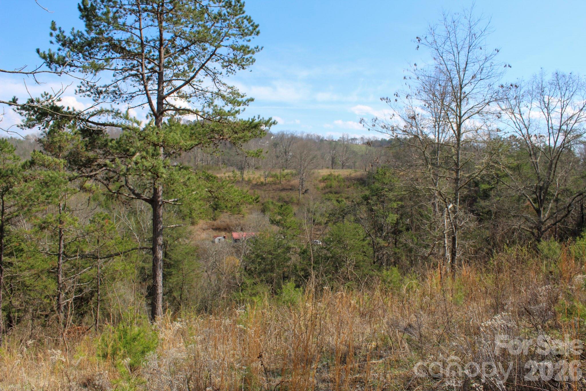 99999 Fletcher Martin Road Alexander NC 28701