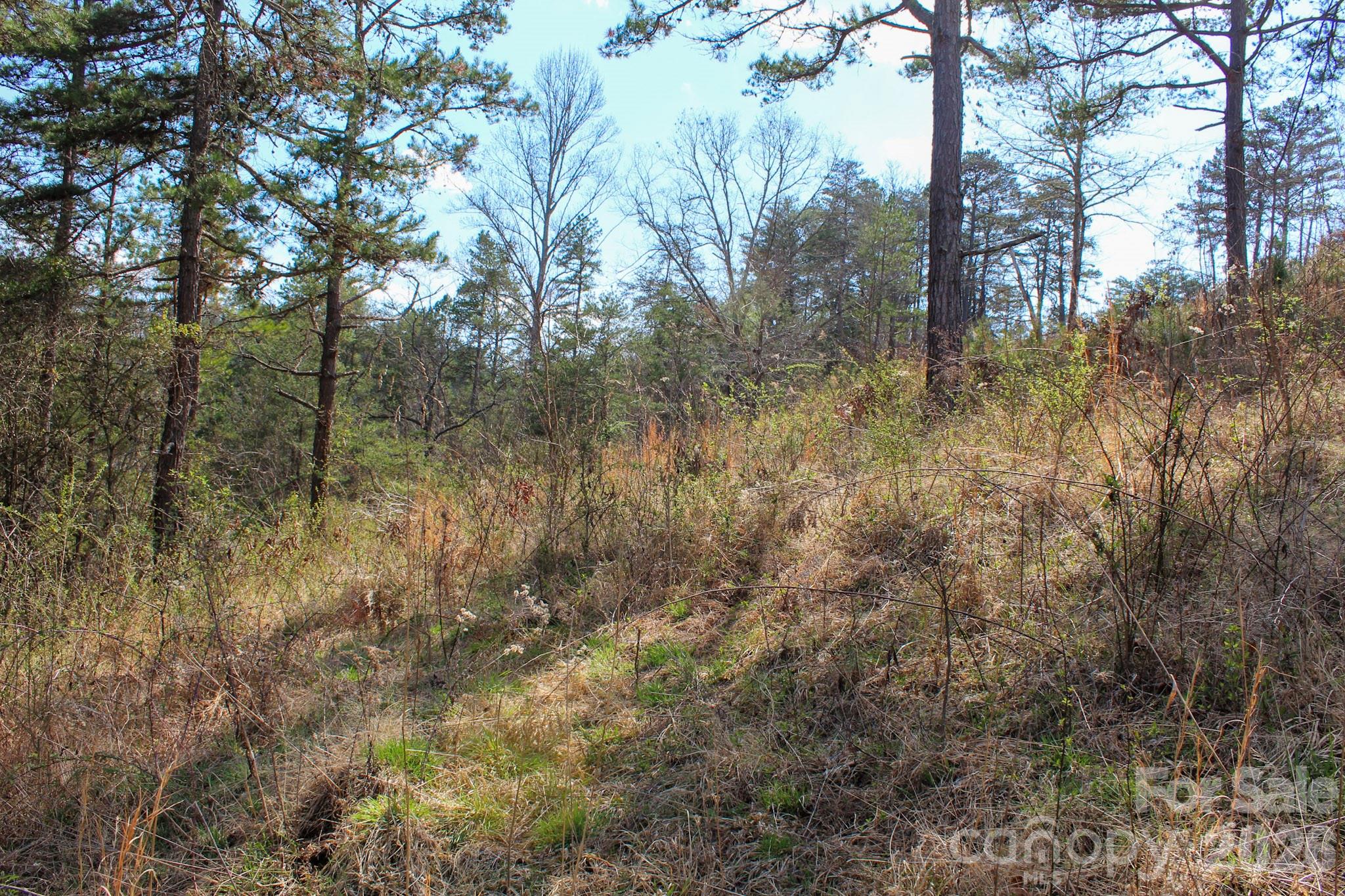 99999 Fletcher Martin Road Alexander NC 28701