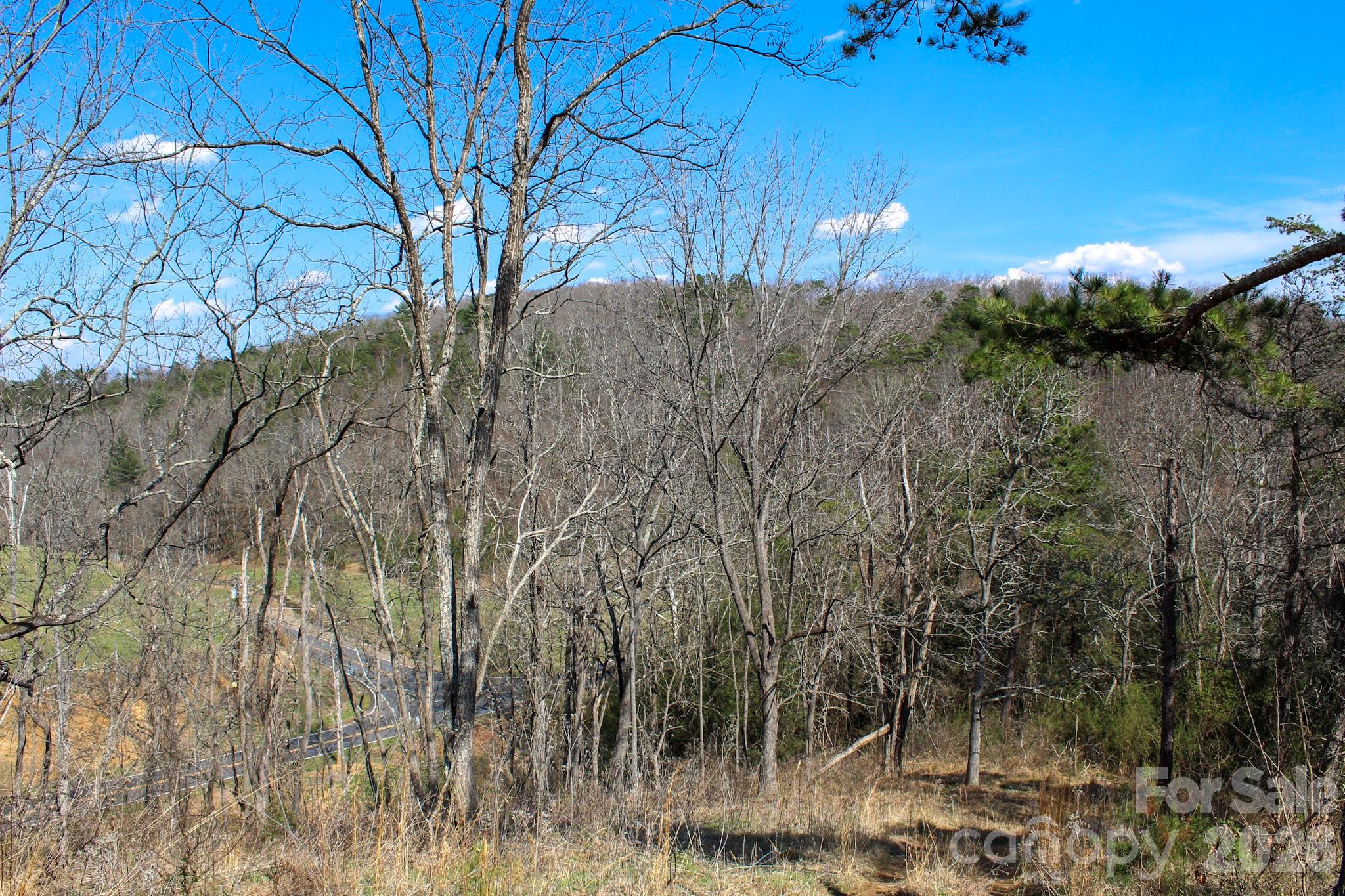 99999 Fletcher Martin Road Alexander NC 28701