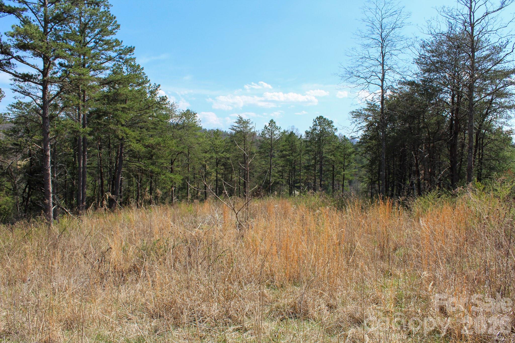 99999 Fletcher Martin Road Alexander NC 28701