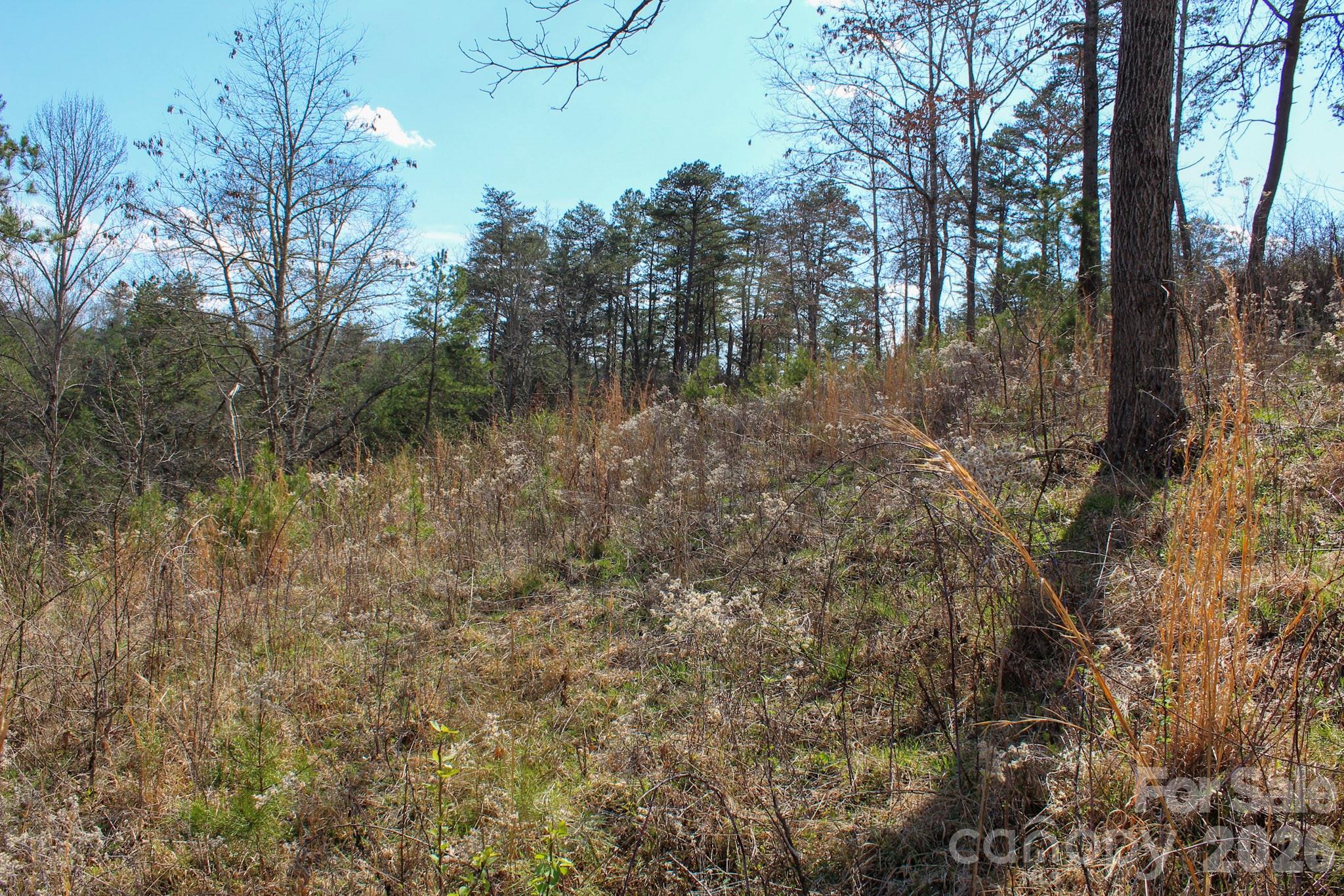 99999 Fletcher Martin Road Alexander NC 28701