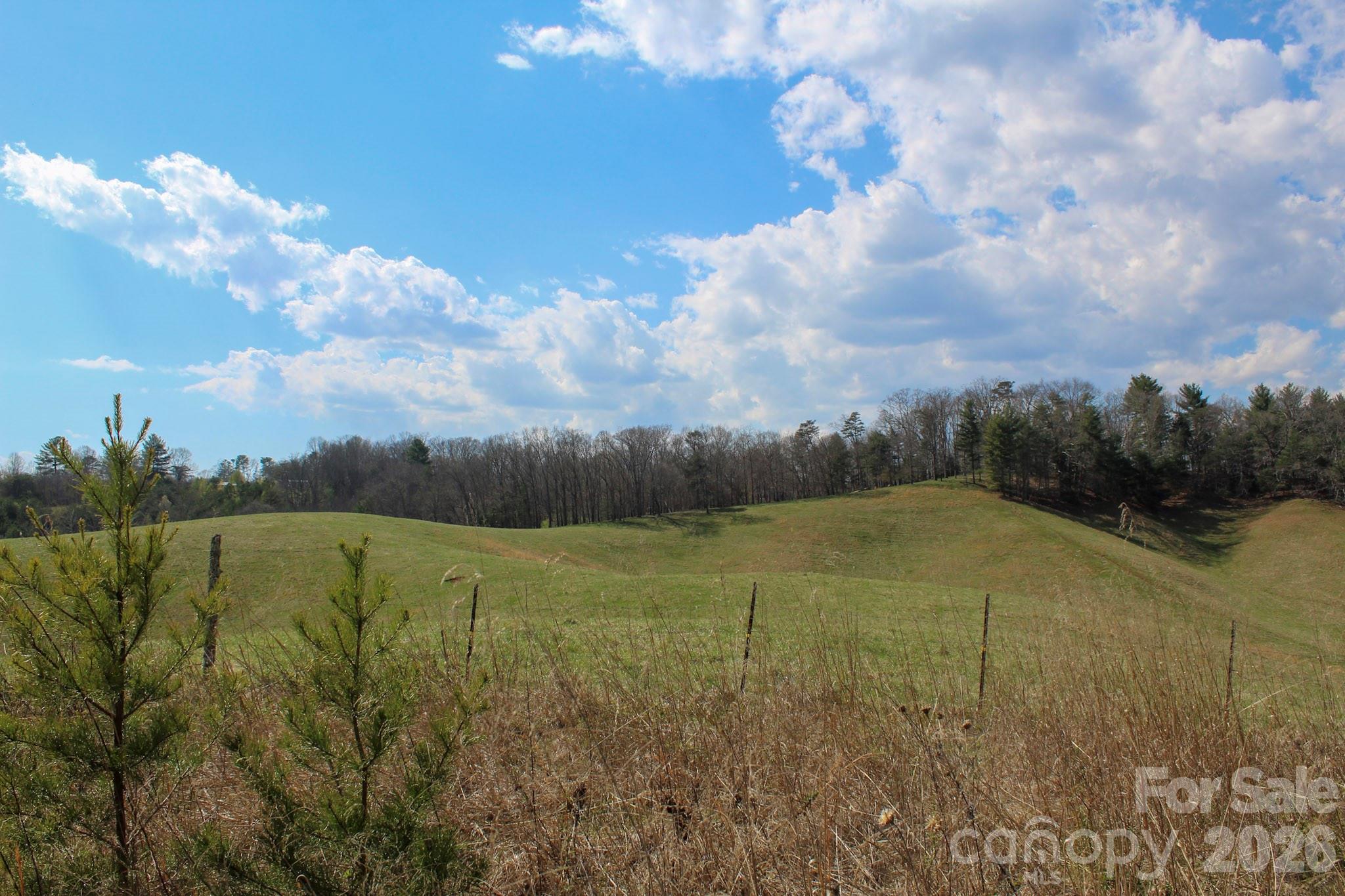 99999 Fletcher Martin Road Alexander NC 28701