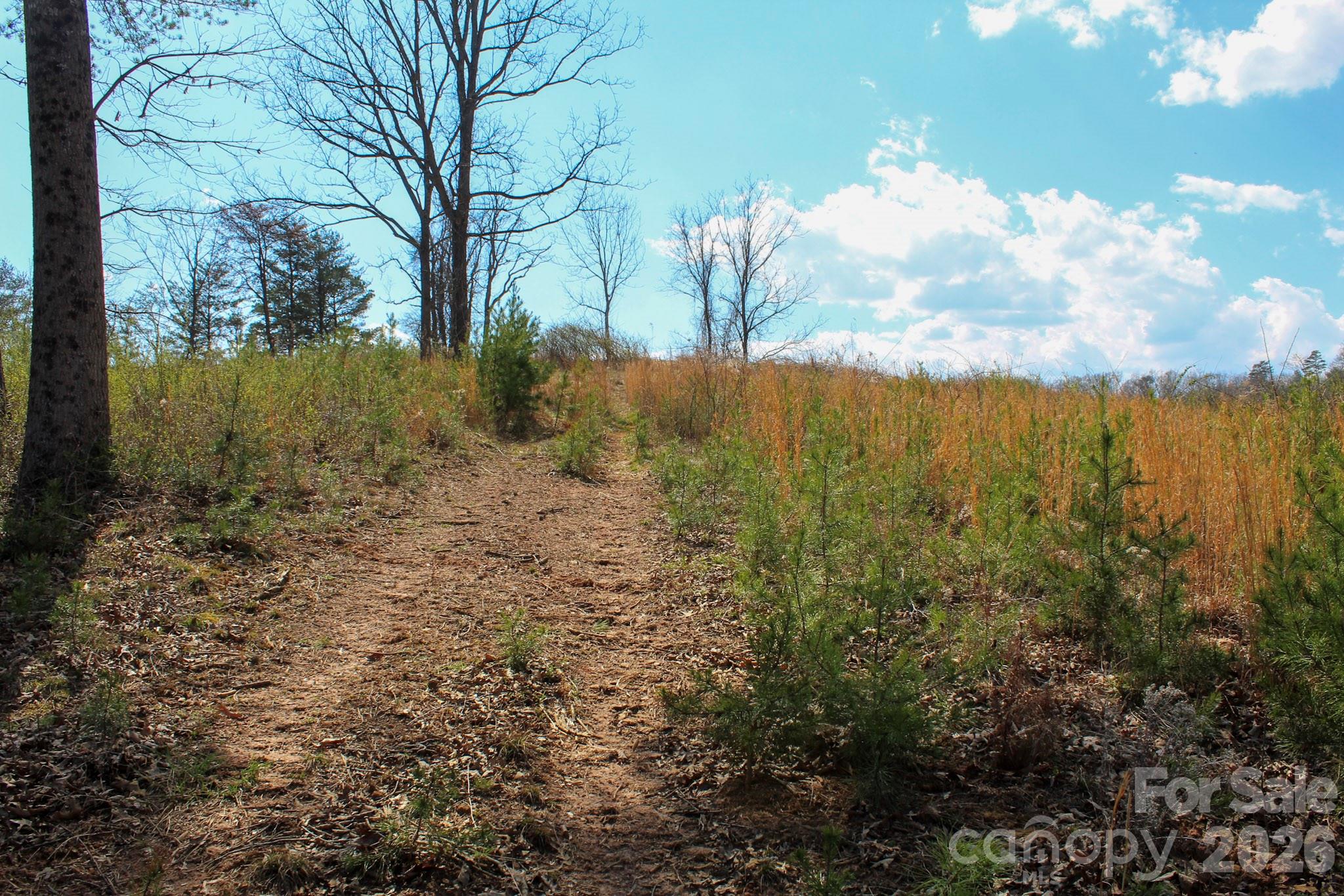99999 Fletcher Martin Road Alexander NC 28701